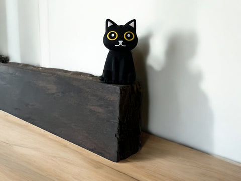 Snarky black cat