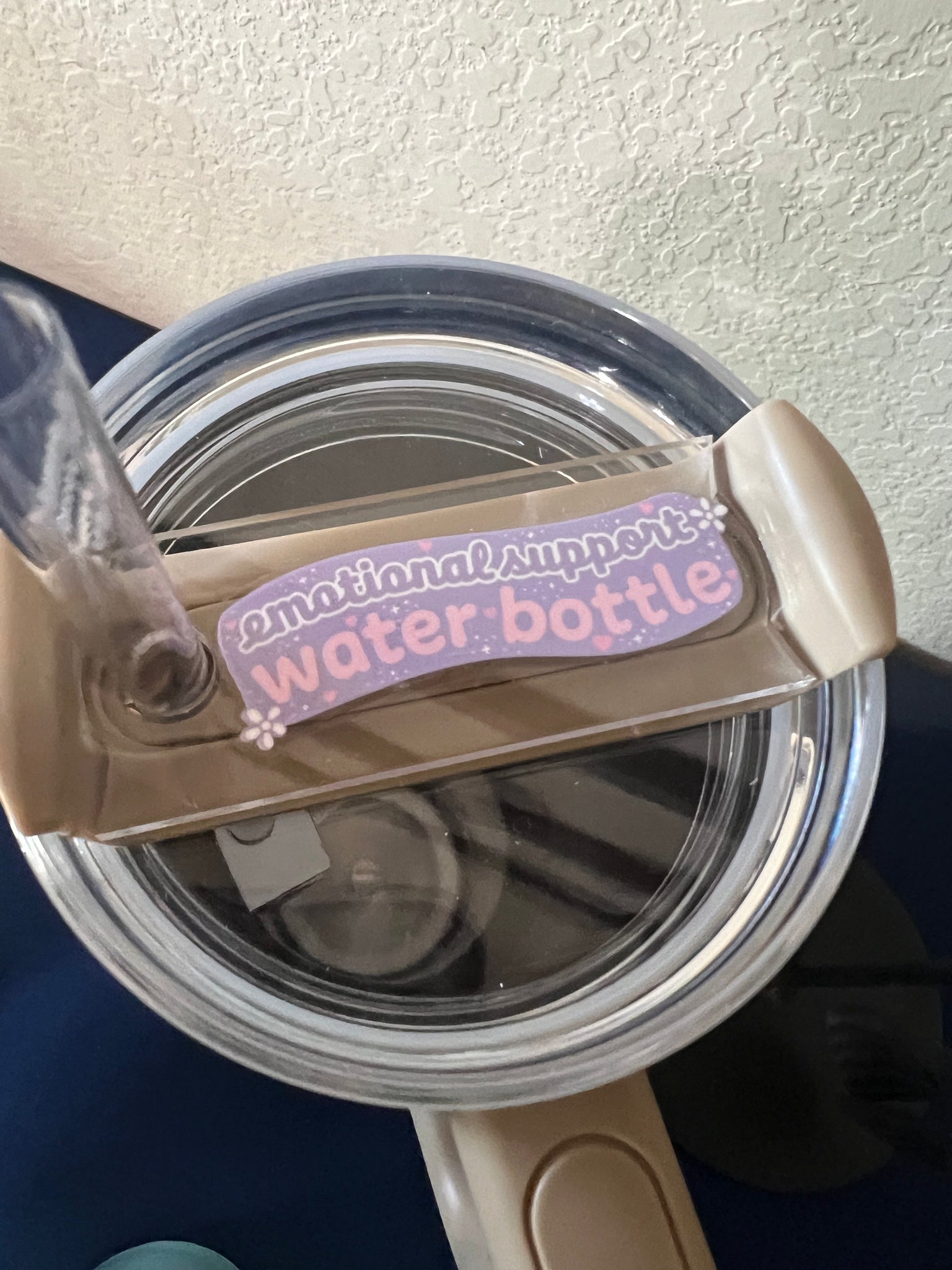 Emotional support water bottle